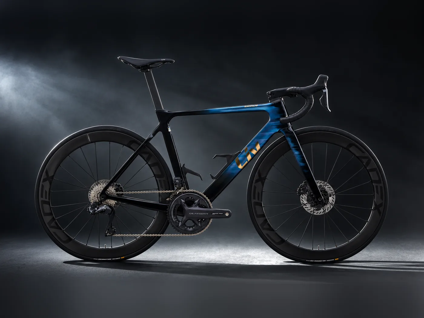 Liv EnviLiv Advanced Disc TOP Pro en alquiler en Port de Pollença, Mallorca